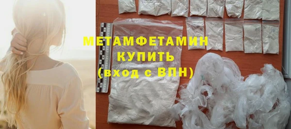 прущие грибы Верхний Тагил