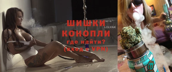 прущие грибы Верхний Тагил