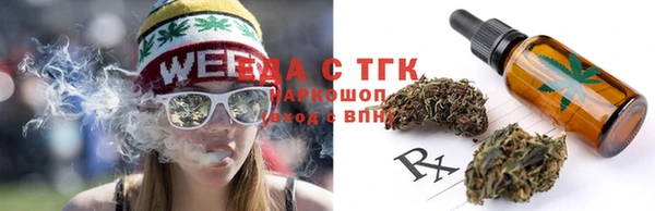 прущие грибы Верхний Тагил