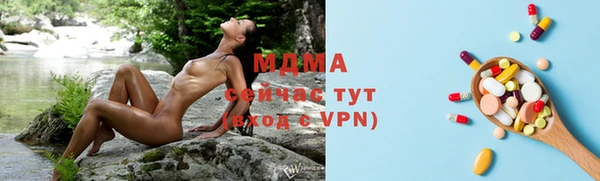 прущие грибы Верхний Тагил