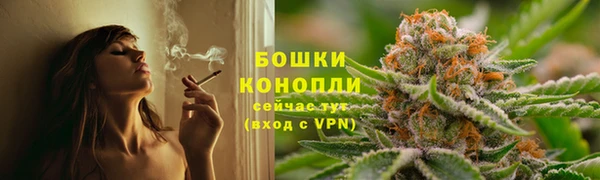 apvp Верея