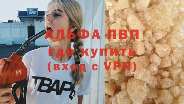 прущие грибы Верхний Тагил