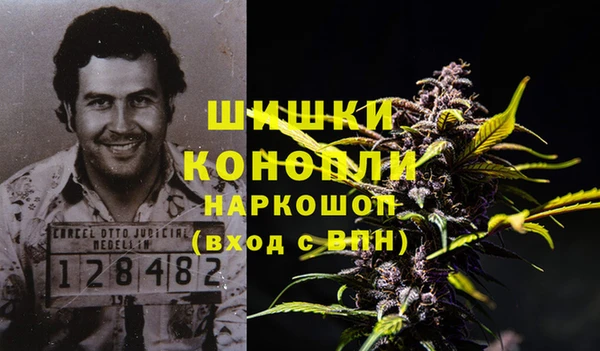 прущие грибы Верхний Тагил