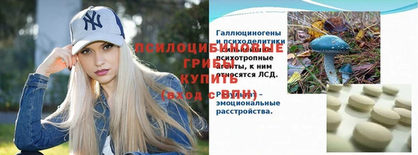 apvp Верея