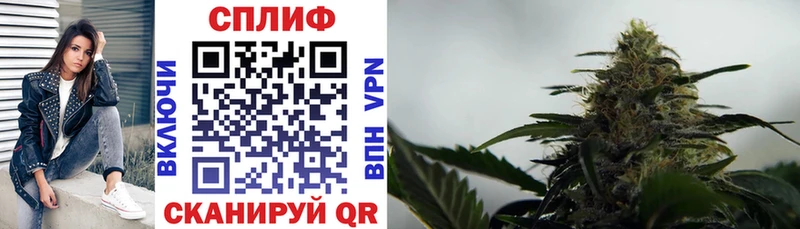 Марихуана семена  Купить где  Змеиногорск 